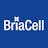 BCTX Briacell Therapeutics Corp. Common Shares stock reportcard preview