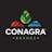 CAG Conagra Brands, Inc. stock reportcard preview