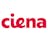 CIEN Ciena Corporation stock reportcard preview