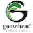 GSHD Goosehead Insurance, Inc. Class A Common Stock stock reportcard preview