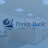 PDLB Ponce Financial Group, Inc. Common Stock stock reportcard preview