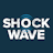 SWAV Shockwave Medical, Inc. Common Stock stock reportcard preview